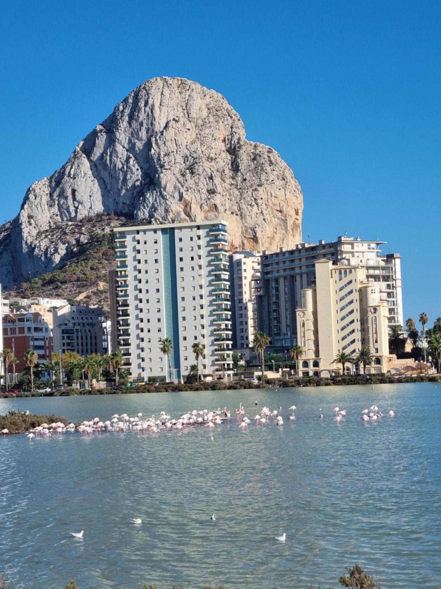 Ap Skerup Cerca Playa Appartement